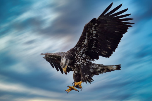 1759702 (a): :2048x1365